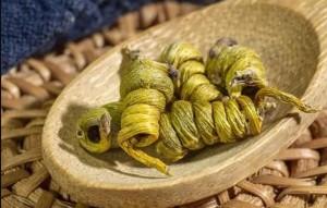 霍山米斛能否成为降血脂新星？专家观点速递