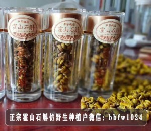 霍山铁皮石斛：养生新宠，健康必备