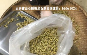 揭秘：霍山石斛背后的乡镇产地大揭密！