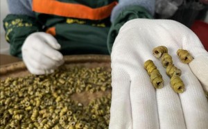 霍山铁皮石斛：养生市场的明星产品