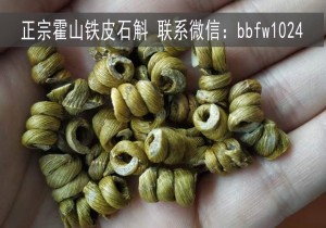 霍山石斛与健康的秘密联系