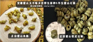 霍山铁皮石斛和山药的搭配效果与食谱推荐