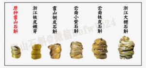 霍山石斛多少一斤_霍山石斛怎么买_霍山石斛哪里有卖