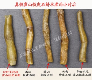 霍山铁皮石斛和枸杞的搭配效果与养生茶饮制作