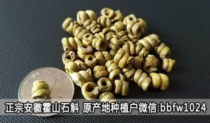 霍山石斛在哪里能买到正宗的有些价格为什么那么贵？