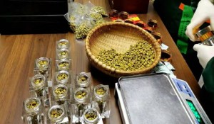 揭秘安徽霍山石斛：品质之选，最佳性价比