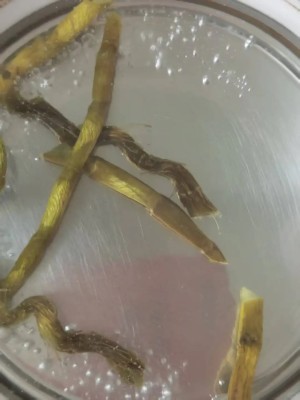 霍山铁皮石斛怎么泡水喝最有效？正确方法详解
