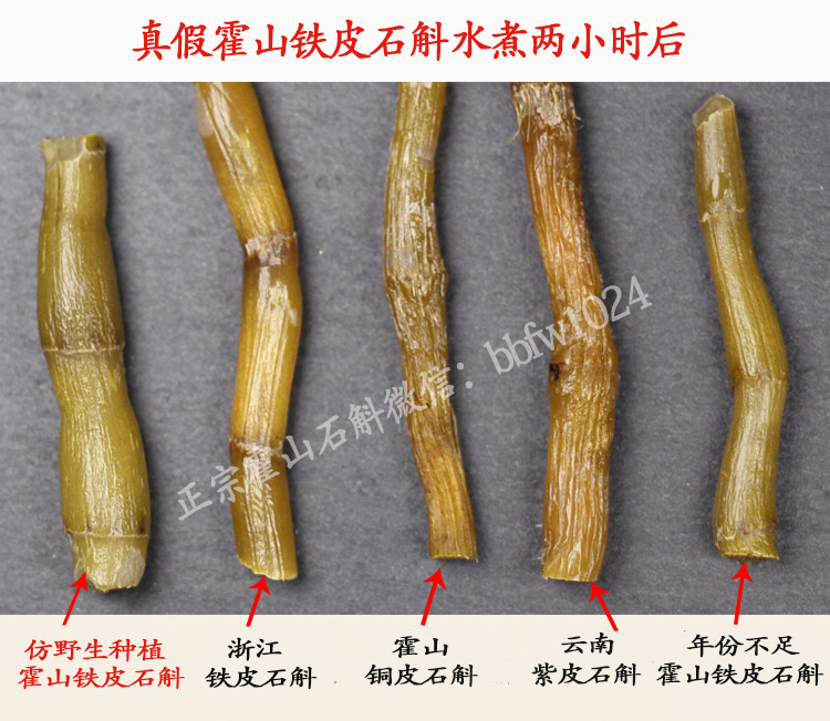 霍山石斛真假