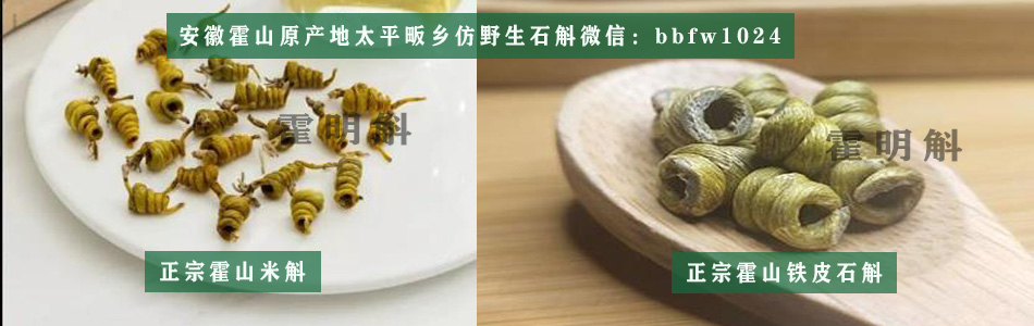 好的霍山石斛多少钱一克哪家正宗最好你买的对了吗