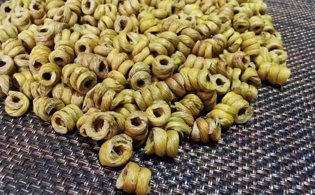 霍山之巅，铁皮石斛的最佳产地揭秘