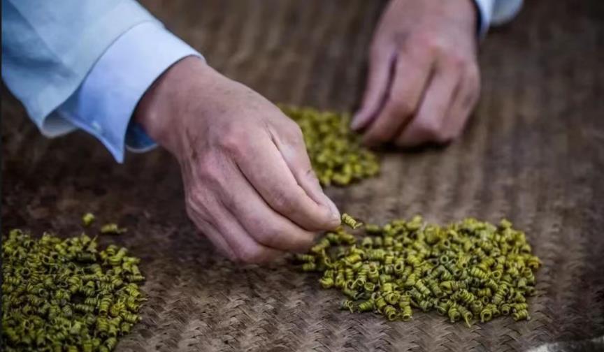 糖尿病患者的福音：米斛的自然调理之道