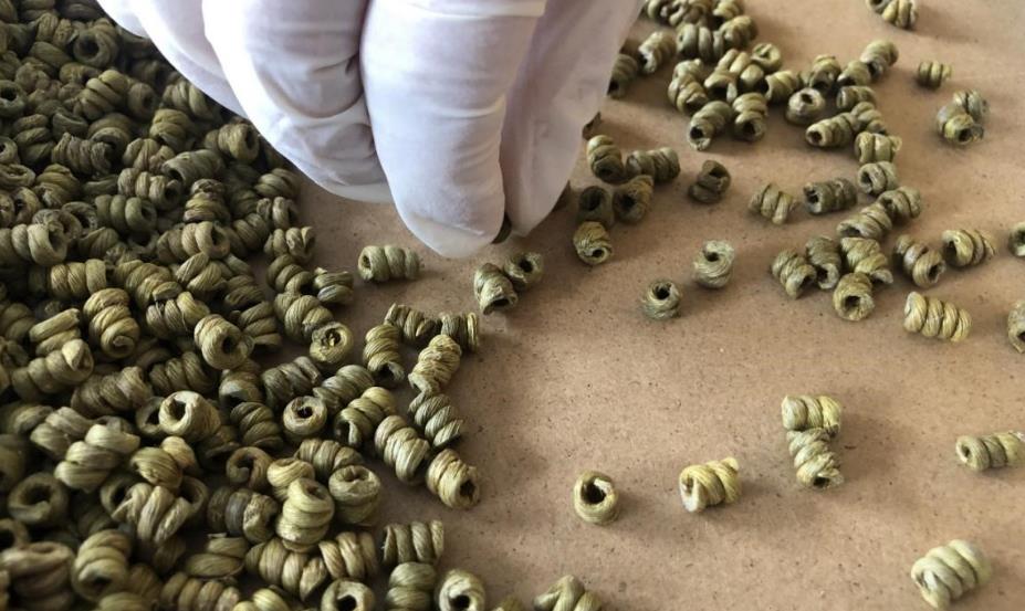 霍山铁皮石斛的药理机制：科学解读其神奇疗效