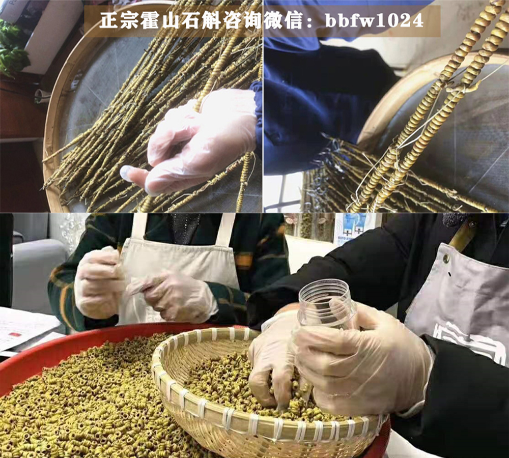 霍山铁皮石斛：从产地到餐桌的全效养生秘籍