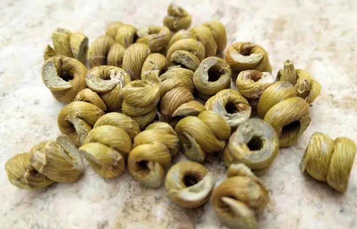 男士专属：霍山铁皮石斛的养生秘密