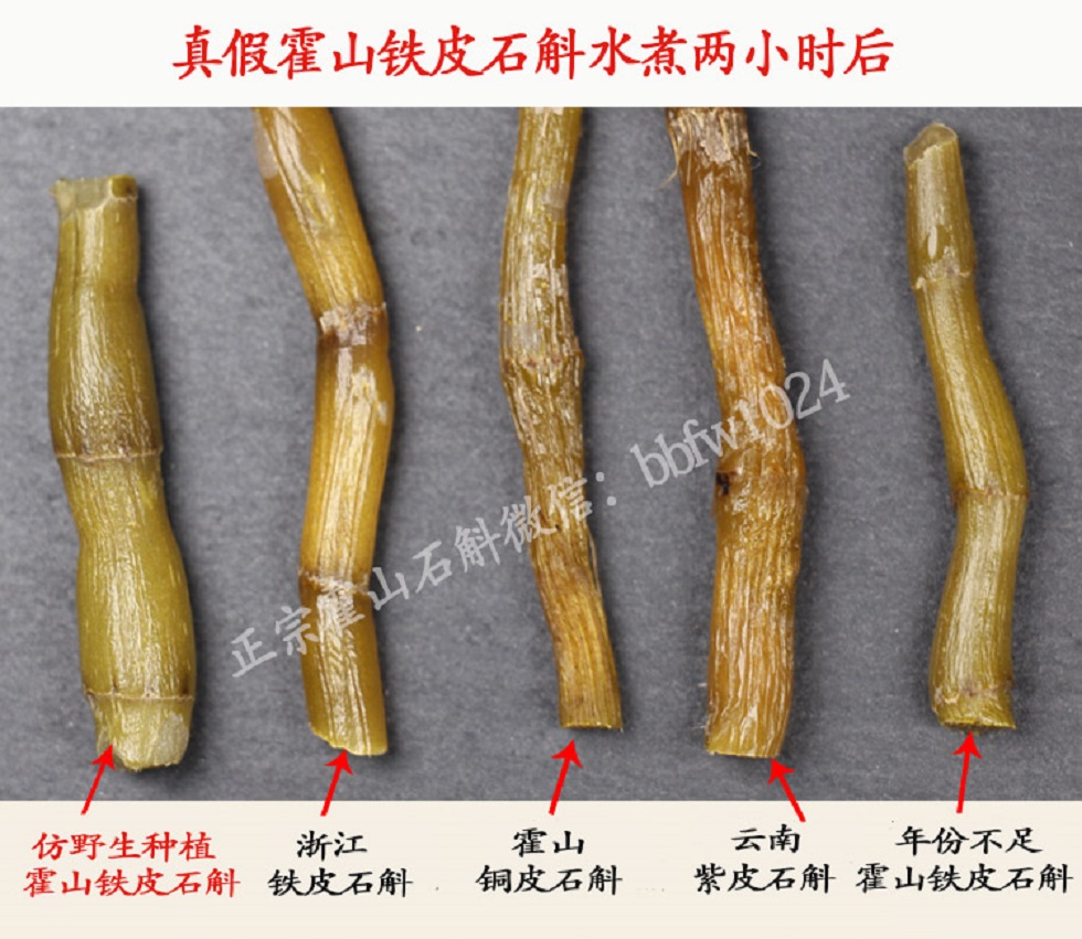 铁皮石斛的绝佳作用与全面功能主治